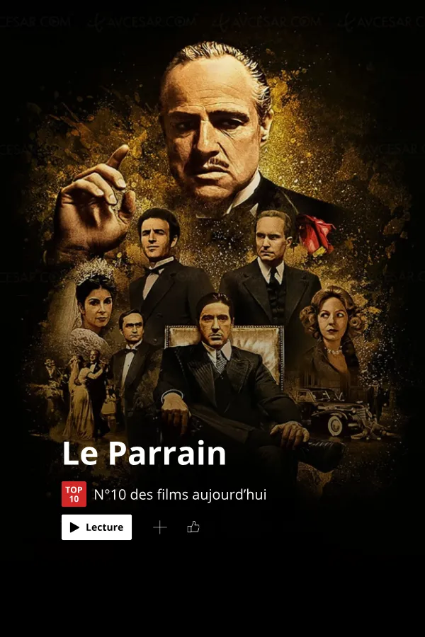 Affiche Le Parrain : Ton budget, ta famille, ton empire